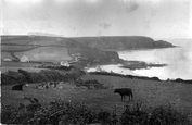 The Gunwallae Fishing Cove 1911, Lizard