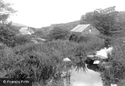 The Portesco Old Mill 1911, Lizard