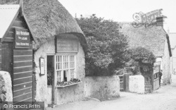 The Post Office 1907, Lizard