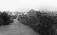 The Village 1907, Lizard