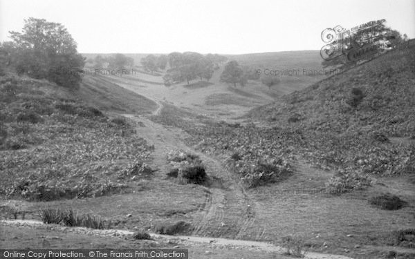 Photo of The Quantocks, Butterfly Combe 1894