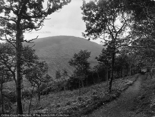 Photo of The Quantocks, Pathway To Danesborough 1929