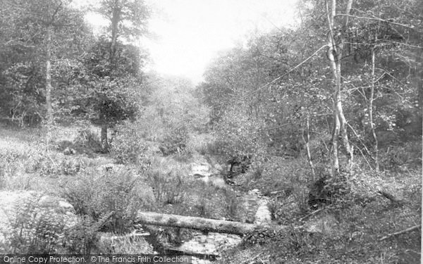 Photo of The Quantocks, Seven Wells Combe 1895