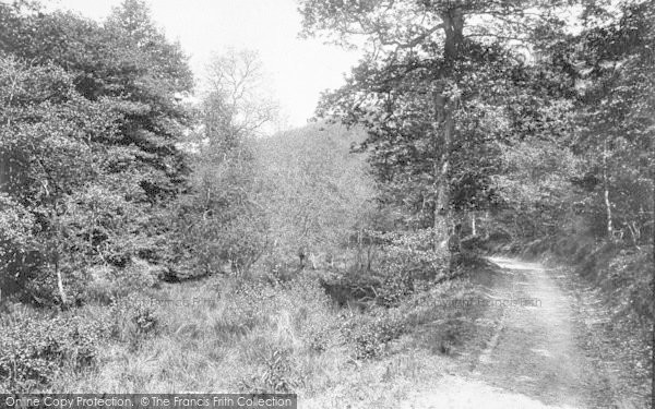 Photo of The Quantocks, Seven Wells Combe 1895