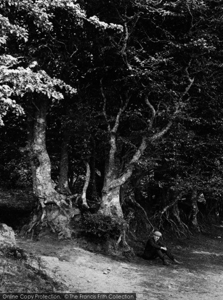 Photo of The Quantocks, Sitting Under The Beeches, Cocker Combe 1906