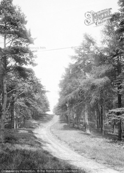 Photo of The Wrekin, Pathway 1910