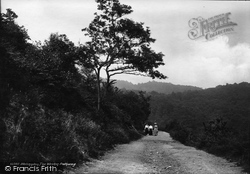 Pathway 1910, The Wrekin
