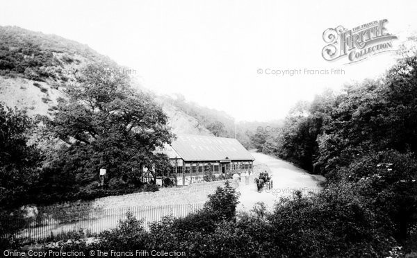 Photo of The Wrekin, The Forest Glen 1895
