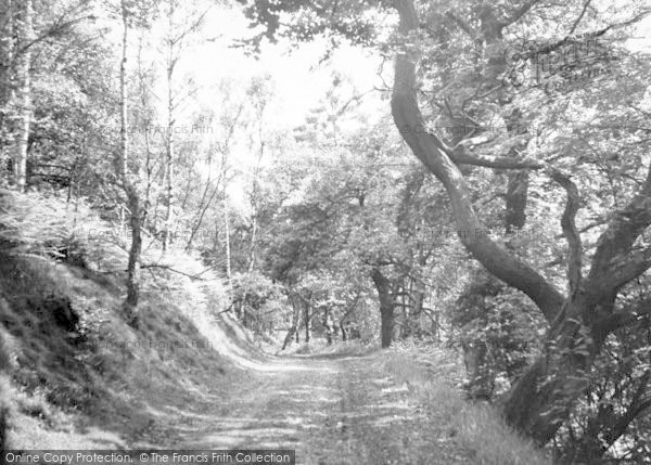 Photo of The Wrekin, The Forest Glen c.1955