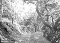 The Forest Glen c.1955, The Wrekin