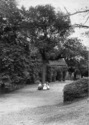 Previous photo