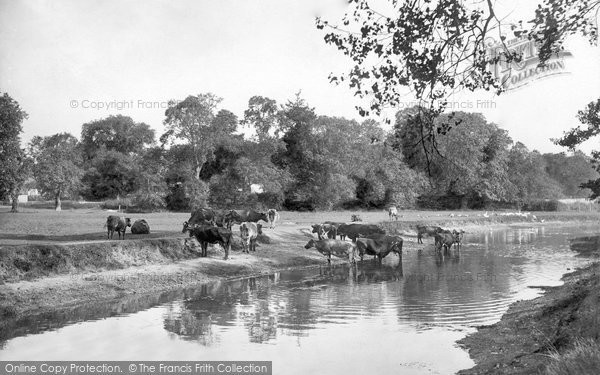 Photo of Thetford, Water Meadows 1921