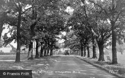 The Avenue c.1950, Theydon Bois