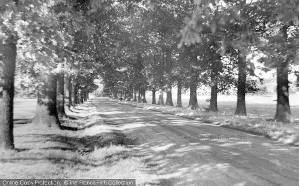 Photo of Theydon Bois, The Avenue c.1950