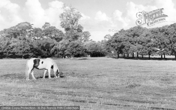 Photo of Theydon Bois, The Green And Avenue c.1950