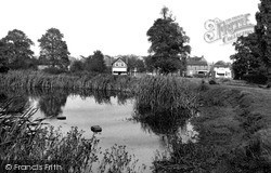 The Pond And Green c.1955, Theydon Bois