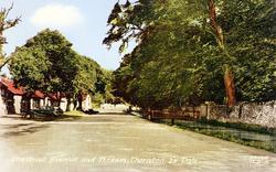 Thornton-Le-Dale, Chestnut Avenue And Stream c.1955, Thornton Dale