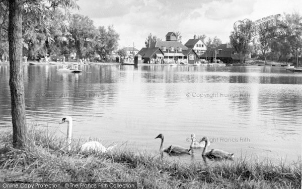 Photo of Thorpeness, Swans On The Meare c.1960
