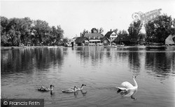 Swans On The Meare c.1960, Thorpeness