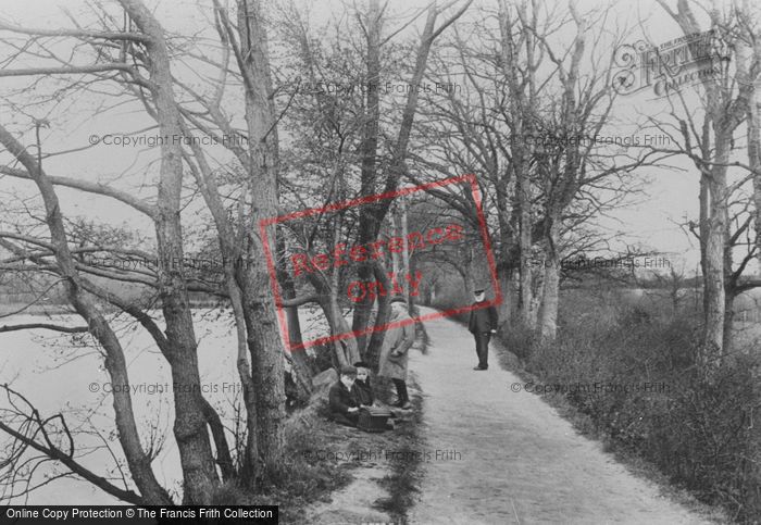 Photo of Three Bridges, The Mill Path 1906
