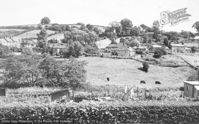 Photo of Thropton, Hillside c.1955