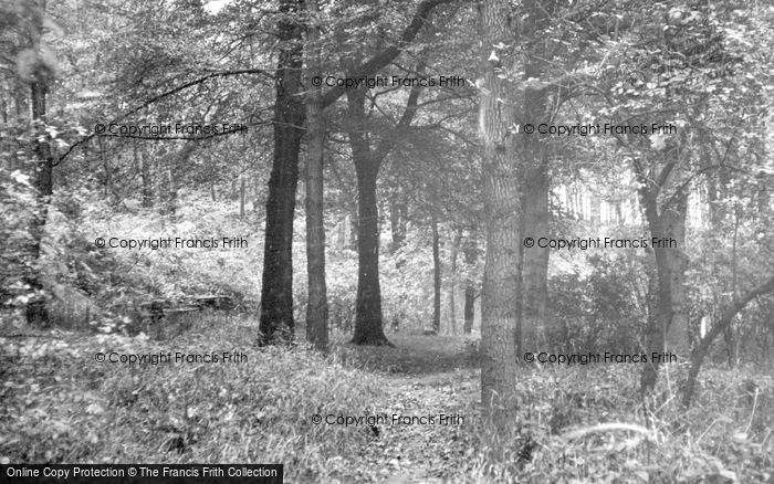 Photo of Thurgoland, The Woods c.1955