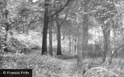 The Woods c.1955, Thurgoland