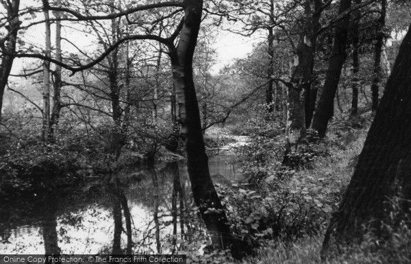 Photo of Thurgoland, Woods And River c.1955
