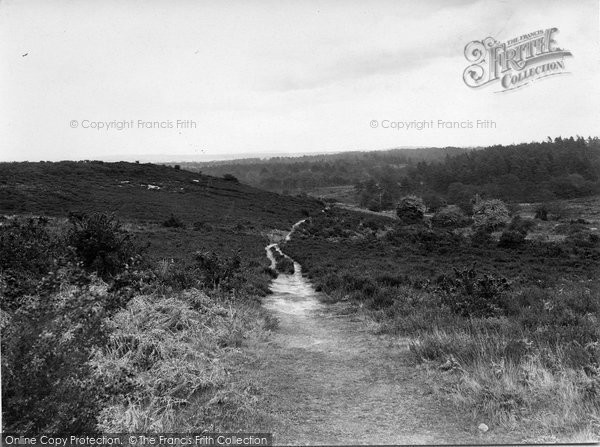 Photo of Thursley, Common 1925