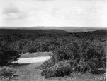 Common 1925, Thursley