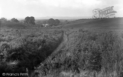 Common, Pathway To Moat Showing Crooksbury 1932, Thursley