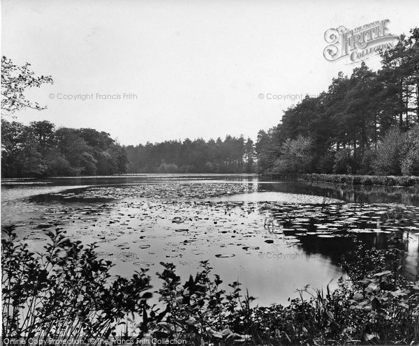 Photo of Thursley, Forked Pond 1925