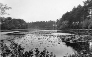 Thursley, Forked Pond 1925