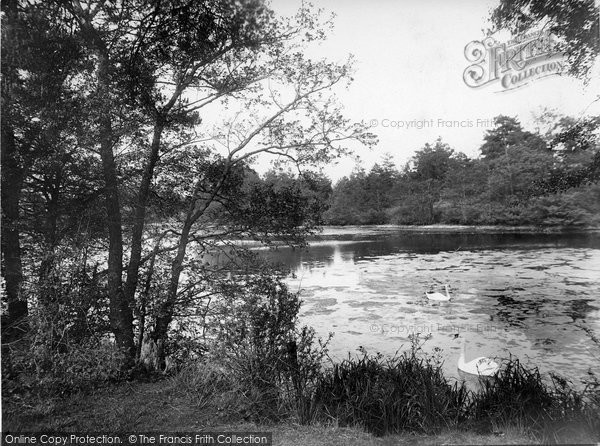 Photo of Thursley, Forked Pond 1925