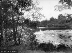 Forked Pond 1925, Thursley