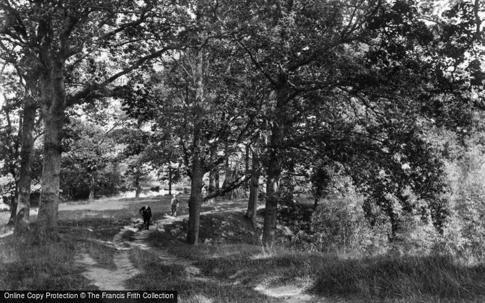 Photo of Ticehurst, Hacknesh Path 1907