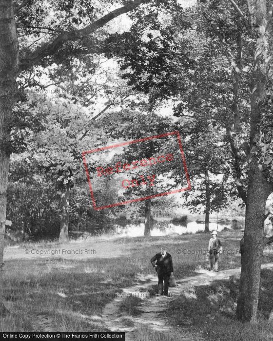 Photo of Ticehurst, Hacknesh Path 1907