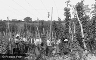 Hop Pickers 1907, Ticehurst