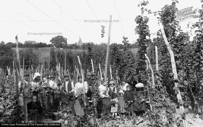 Ticehurst, Hop Pickers 1907