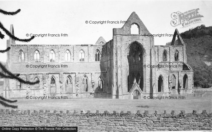 Photo of Tintern, Abbey, South Side 1925