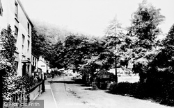 Village 1893, Tintern