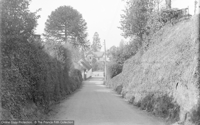 Photo of Tipton St John, A Pretty Lane c.1939