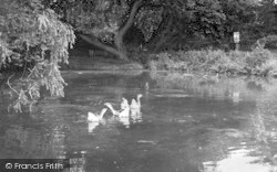 The Lake c.1955, Tiptree