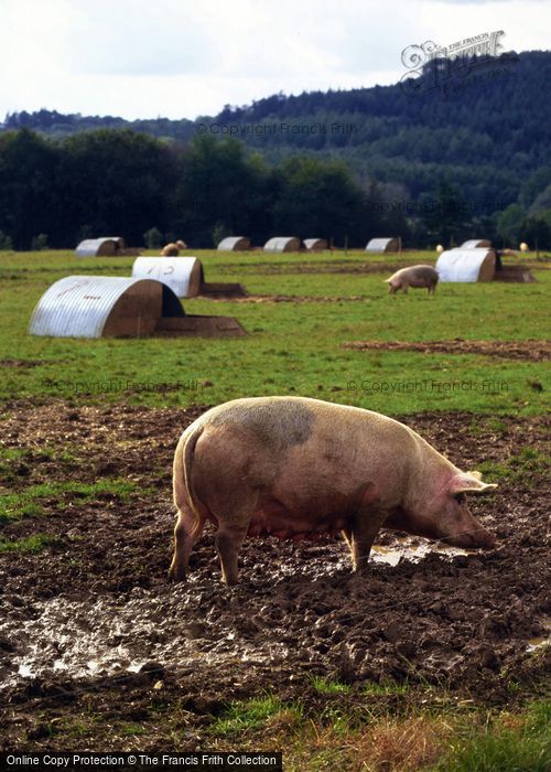 Photo of Tisbury, The Piggery, Lawn Farm 1997