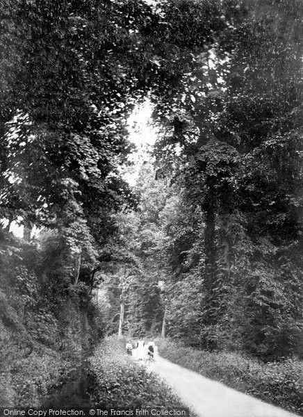 Photo of Tiverton, Collipriest Avenue 1914