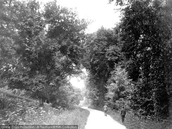 Photo of Tiverton, Collipriest Walk 1914