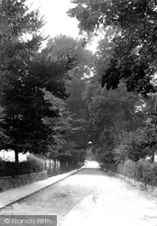 Leat Street Avenue 1914, Tiverton