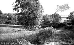 The Canal c.1955, Tiverton