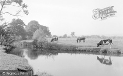 The River 1951, Tonbridge