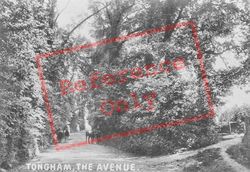 The Avenue 1906, Tongham